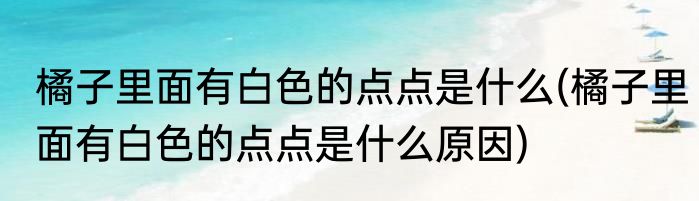 橘子里面有白色的点点是什么(橘子里面有白色的点点是什么原因)