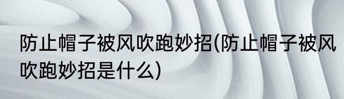 防止帽子被风吹跑妙招(防止帽子被风吹跑妙招是什么)
