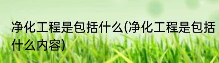 净化工程是包括什么(净化工程是包括什么内容)