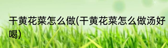 干黄花菜怎么做(干黄花菜怎么做汤好喝)