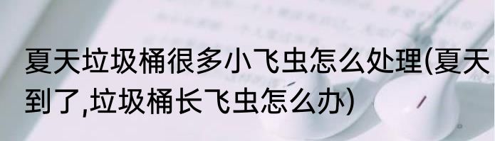 夏天垃圾桶很多小飞虫怎么处理(夏天到了,垃圾桶长飞虫怎么办)