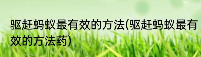 驱赶蚂蚁最有效的方法(驱赶蚂蚁最有效的方法药)