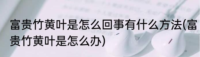 富贵竹黄叶是怎么回事有什么方法(富贵竹黄叶是怎么办)