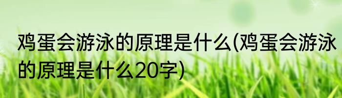 鸡蛋会游泳的原理是什么(鸡蛋会游泳的原理是什么20字)