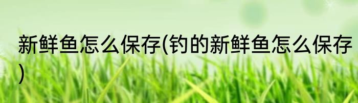新鲜鱼怎么保存(钓的新鲜鱼怎么保存)