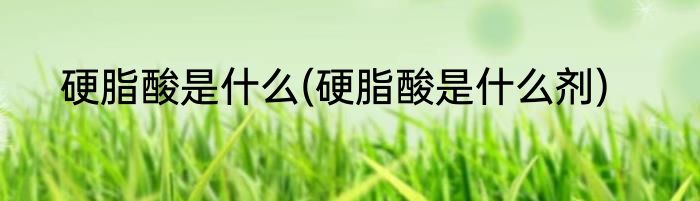 硬脂酸是什么(硬脂酸是什么剂)