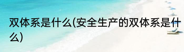 双体系是什么(安全生产的双体系是什么)