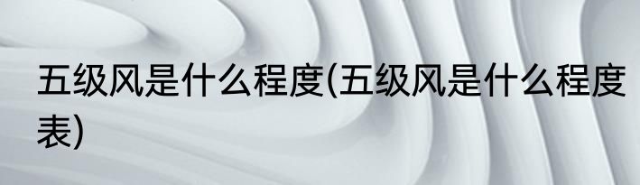 五级风是什么程度(五级风是什么程度表)