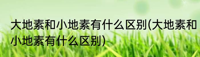 大地素和小地素有什么区别(大地素和小地素有什么区别)
