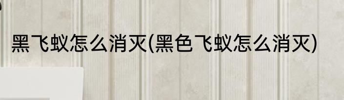 黑飞蚁怎么消灭(黑色飞蚁怎么消灭)