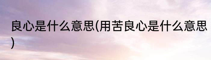 良心是什么意思(用苦良心是什么意思)