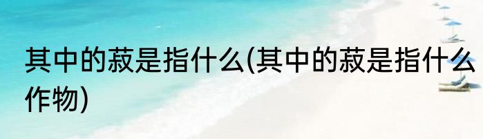 其中的菽是指什么(其中的菽是指什么作物)