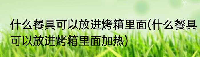 什么餐具可以放进烤箱里面(什么餐具可以放进烤箱里面加热)