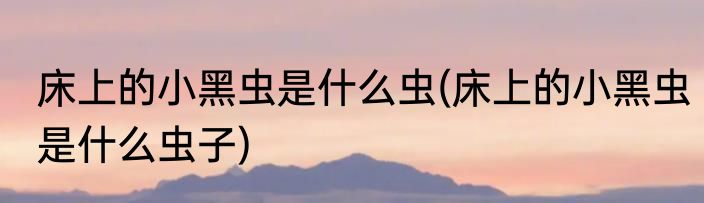 床上的小黑虫是什么虫(床上的小黑虫是什么虫子)