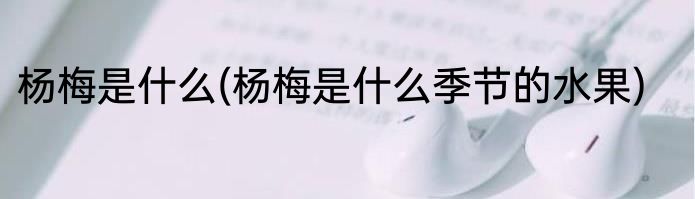 杨梅是什么(杨梅是什么季节的水果)