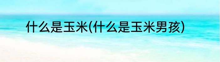 什么是玉米(什么是玉米男孩)