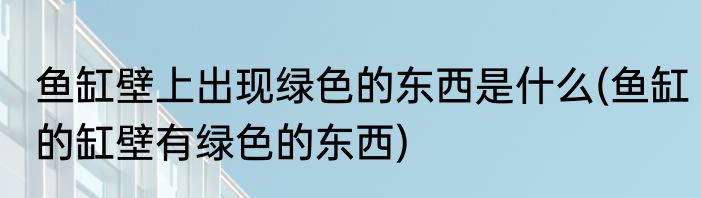 鱼缸壁上出现绿色的东西是什么(鱼缸的缸壁有绿色的东西)