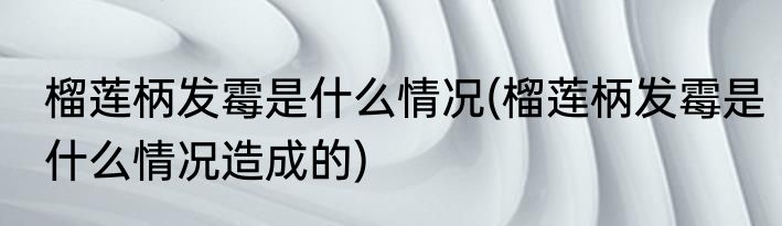 榴莲柄发霉是什么情况(榴莲柄发霉是什么情况造成的)