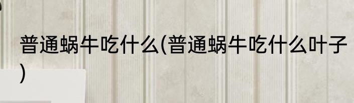 普通蜗牛吃什么(普通蜗牛吃什么叶子)