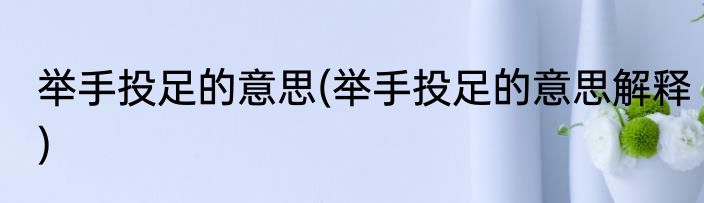 举手投足的意思(举手投足的意思解释)