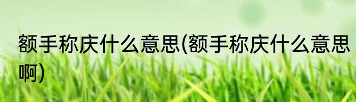 额手称庆什么意思(额手称庆什么意思啊)