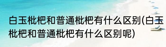 白玉枇杷和普通枇杷有什么区别(白玉枇杷和普通枇杷有什么区别呢)