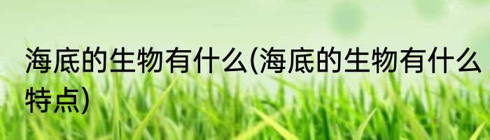 海底的生物有什么(海底的生物有什么特点)