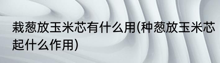 栽葱放玉米芯有什么用(种葱放玉米芯起什么作用)