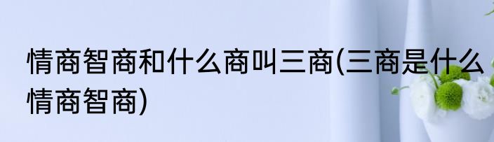 情商智商和什么商叫三商(三商是什么情商智商)