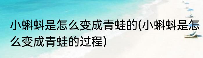 小蝌蚪是怎么变成青蛙的(小蝌蚪是怎么变成青蛙的过程)