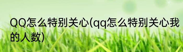 QQ怎么特别关心(qq怎么特别关心我的人数)