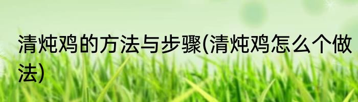 清炖鸡的方法与步骤(清炖鸡怎么个做法)