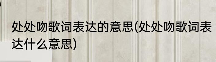 处处吻歌词表达的意思(处处吻歌词表达什么意思)