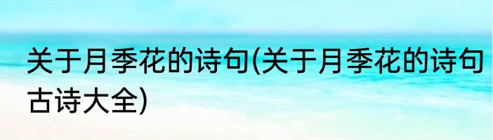 关于月季花的诗句(关于月季花的诗句古诗大全)