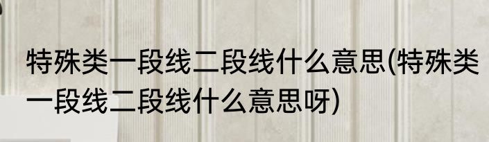 特殊类一段线二段线什么意思(特殊类一段线二段线什么意思呀)