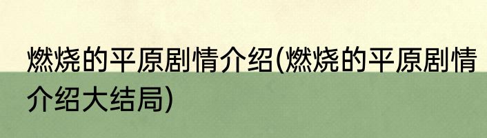 燃烧的平原剧情介绍(燃烧的平原剧情介绍大结局)