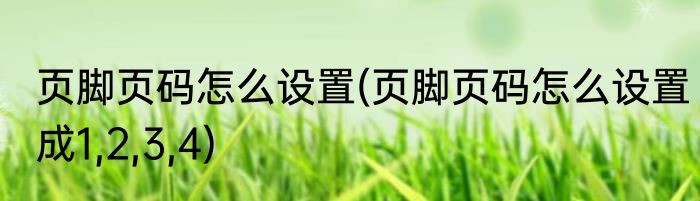 页脚页码怎么设置(页脚页码怎么设置成1,2,3,4)