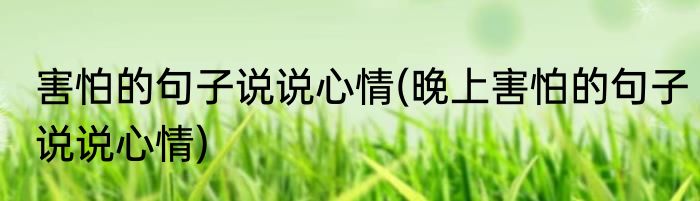 害怕的句子说说心情(晚上害怕的句子说说心情)