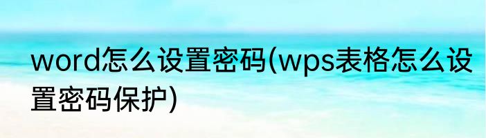 word怎么设置密码(wps表格怎么设置密码保护)