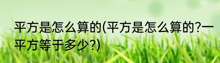 平方是怎么算的(平方是怎么算的?一平方等于多少?)