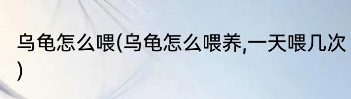 乌龟怎么喂(乌龟怎么喂养,一天喂几次)