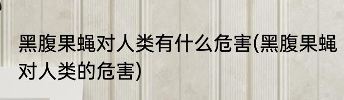 黑腹果蝇对人类有什么危害(黑腹果蝇对人类的危害)