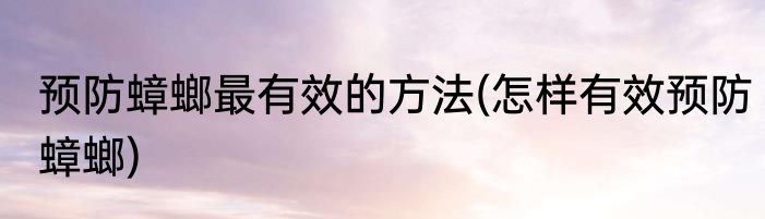 预防蟑螂最有效的方法(怎样有效预防蟑螂)