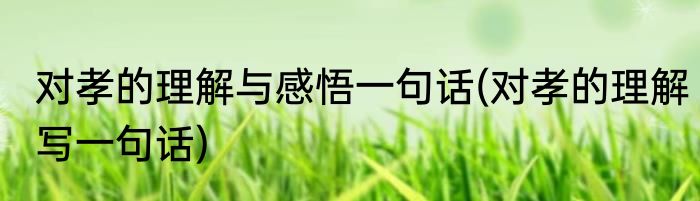 对孝的理解与感悟一句话(对孝的理解写一句话)