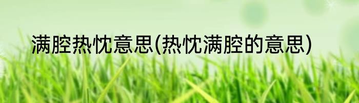 满腔热忱意思(热忱满腔的意思)