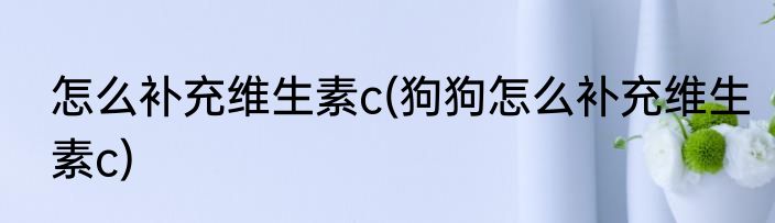 怎么补充维生素c(狗狗怎么补充维生素c)