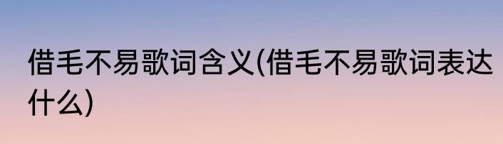 借毛不易歌词含义(借毛不易歌词表达什么)