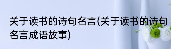 关于读书的诗句名言(关于读书的诗句名言成语故事)