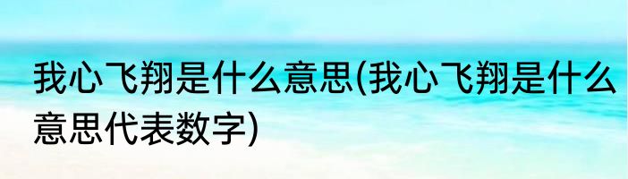 我心飞翔是什么意思(我心飞翔是什么意思代表数字)
