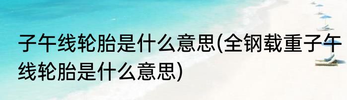 子午线轮胎是什么意思(全钢载重子午线轮胎是什么意思)